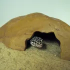 Business 1 image COOLTRADER Grocers & Convenience Stores in Stoke-On-Trent St