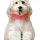 Business 2 image COPA OF CHELTENHAM Pubs in Cheltenham Gl