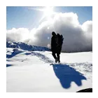 Business 5 image CORBETT WILLIAMS & SON LTD Used Car Dealers in Cardigan Dy