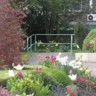 Business 2 image COUNTY INSURANCE BROKERS Travel Insurance in Worthing We