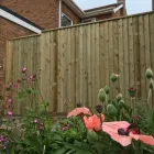 Business 5 image COUNTY LANDSCAPES NW LTD Tree Services in Wrexham Cl