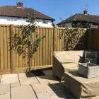Business 41 image COUNTY LANDSCAPES NW LTD Tree Services in Wrexham Cl