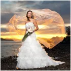 Business 3 image COURIER EXPERT SAMEDAY 24/7 Courier Services in Huddersfield We