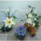 Business 4 image CRAZYCLEANERS WOKINGHAM Domestic Cleaning in Wokingham Be