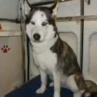 Business 3 image CREATIVE LEARNING SYSTEMS Educational Services in Chelmsford Es