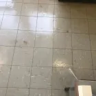 Business 52 image CROUCH CLEANING SERVICES Upholstery Cleaners in Hockley Es