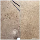 Business 63 image CROUCH CLEANING SERVICES Upholstery Cleaners in Hockley Es