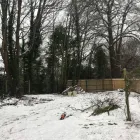 Business 2 image CUTTINGEDGE PROPERTY MAINTENANCE Tree Services in FAREHAM Ha