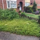Business 37 image CUTTINGEDGE PROPERTY MAINTENANCE Tree Services in FAREHAM Ha