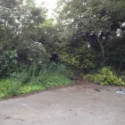 Business 8 image D & C MAINTENANCE SOLUTIONS Garden Services in Durham Co