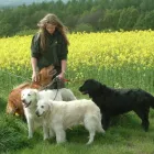 Business 8 image D GIBSON Electricians & Electrical Contractors in West Kilbride Ay