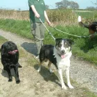 Business 1 image D GIBSON Electricians & Electrical Contractors in West Kilbride Ay