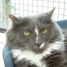 Business 3 image D GIBSON Electricians & Electrical Contractors in West Kilbride Ay