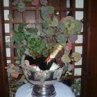 Business 1 image D.M GARDENING SERVICES Garden Services in Kilmarnock Ay