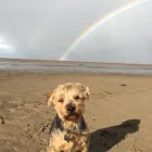 Business 5 image DAISY CHAIN PETS Pets & Animals in Wirral Me