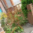 Business 5 image DAN WITH A VAN Waste Management in Lisburn Co