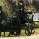 Business 4 image DANIEL ROBINSON & SONS Funeral Directors in Essex Es