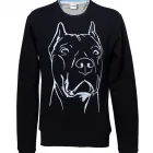 Business 3 image DAVID BARTER STOCK TAKING SERVICES Stocktaking Services in Ferndown Do