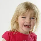 Business 10 image DAVID BARTER STOCK TAKING SERVICES Stocktaking Services in Ferndown Do