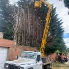 Business 9 image DAVID SCOTT TREE SURGERY & LANDSCAPING Turf Suppliers in Peterlee Co