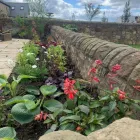 Business 22 image DAVID SCOTT TREE SURGERY & LANDSCAPING Turf Suppliers in Peterlee Co