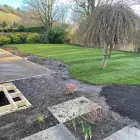 Business 33 image DAVID SCOTT TREE SURGERY & LANDSCAPING Turf Suppliers in Peterlee Co