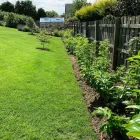 Business 52 image DAVID SCOTT TREE SURGERY & LANDSCAPING Turf Suppliers in Peterlee Co