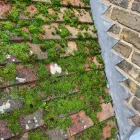 Business 28 image DEANOS PROPERTY MAINTENANCE Woodworking in Harlow Es