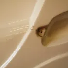 Business 1 image DERBYSHIRE CARAVAN SERVICES LTD Caravan Repairs & Service in Derby De