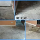 Business 1 image DIAMOND ISLE SCULPTURED GLASS Glasswork in Newport Is