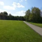 Business 1 image DOGS AND WALKS Pets & Animals in Wakefield We