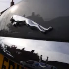 Business 9 image DOROTHY PERKINS RETAIL LTD Ladies Clothes Shops in Newark No