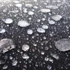 Business 6 image DOROTHY PERKINS RETAIL LTD Ladies Clothes Shops in Newark No