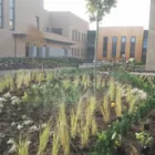 Business 12 image DOWNS LANDSCAPING AND TURF SUPPLIES LTD Home & Garden in Rayleigh Es