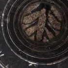 Business 4 image DRAINJETS DONCASTER LTD Plumbers in Doncaster So