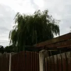Business 4 image DS TREE SERVICES Tree Services in Nottingham No