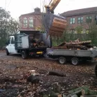 Business 6 image DS TREE SERVICES Tree Services in Nottingham No