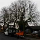 Business 19 image DS TREE SERVICES Tree Services in Nottingham No
