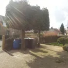 Business 20 image DS TREE SERVICES Tree Services in Nottingham No