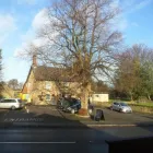 Business 21 image DS TREE SERVICES Tree Services in Nottingham No