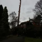 Business 24 image DS TREE SERVICES Tree Services in Nottingham No