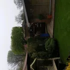 Business 25 image DS TREE SERVICES Tree Services in Nottingham No