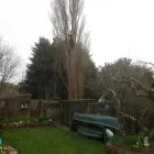 Business 27 image DS TREE SERVICES Tree Services in Nottingham No