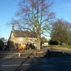Business 28 image DS TREE SERVICES Tree Services in Nottingham No
