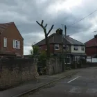 Business 29 image DS TREE SERVICES Tree Services in Nottingham No