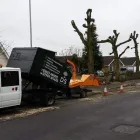 Business 43 image DS TREE SERVICES Tree Services in Nottingham No