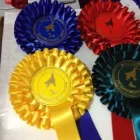 Business 1 image DURHAM ROSETTES Exhibition & Trade Fair Organisers in Durham Co