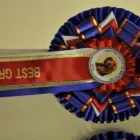 Business 2 image DURHAM ROSETTES Exhibition & Trade Fair Organisers in Durham Co
