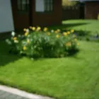 Business 4 image DW GARDEN SERVICES Garden Services in Warrington Ch