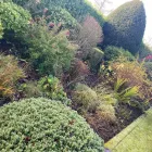 Business 12 image E D R LANDSCAPE MANAGEMENT SOLUTIONS LTD Tree Services in Warrington Ch
